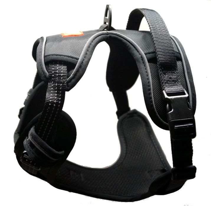 Quattro Harness New