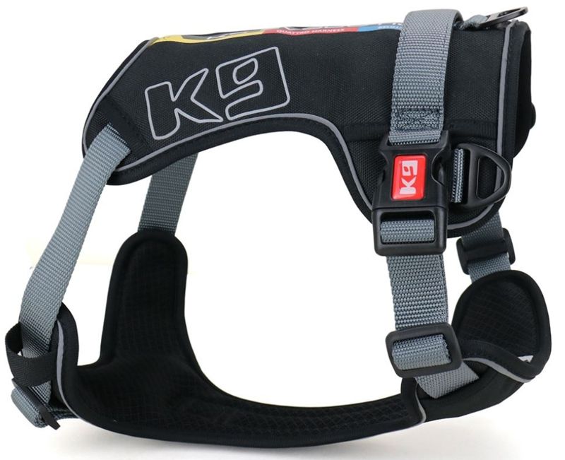 Quattro Harness